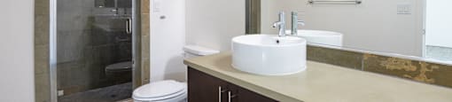 a bathroom with a sink and a toilet and a shower