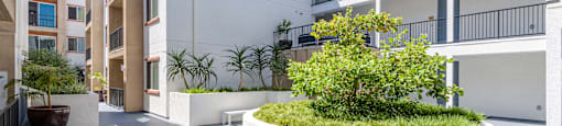 the courtyard of an apartment building with a large planter in the middle
