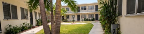 A long concrete walkway leads to a building with a palm tree in the middle.