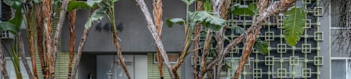 a building with a sidewalk and trees in front of it