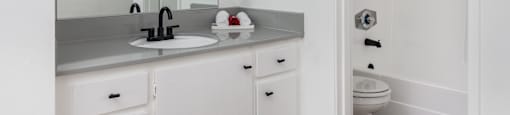 a bathroom with a sink and a mirror and a toilet