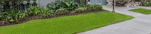 a building with a lawn and trees in front of it