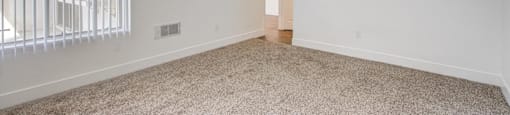 a bedroom with a large window and a carpeted floor