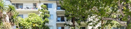 a large white building with trees in front of it