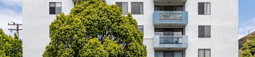 a white apartment building with blue balconies and a tree in front
