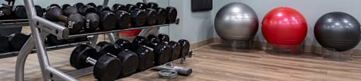 a gym with a rack of dumbbells and a red ball on the floor