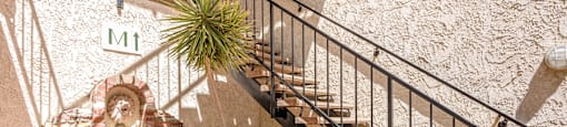a set of stairs leading up to a building with a plant