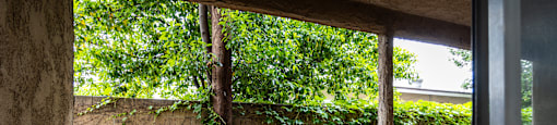 a view of the courtyard from the front door of the house