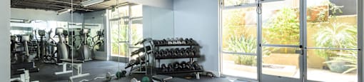 A gym with a variety of equipment including weights and dumbbells.