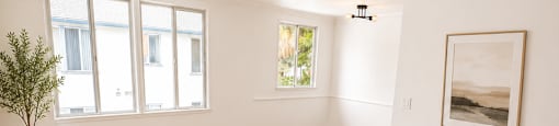 A room with wooden floors and a small tree in a pot.