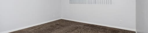an empty living room with carpet and a window
