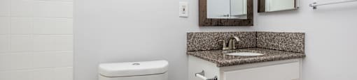 a bathroom with a toilet and a sink and a mirror