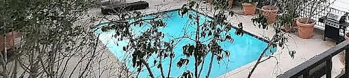 A pool surrounded by potted plants and trees in a courtyard.