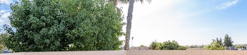 a large patio with palm trees and trees in the background