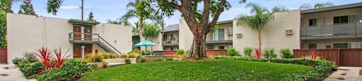 Open Green Areas Condos in Santa Ana