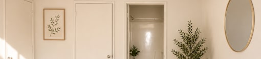 A room with a white door, a plant, and a mirror.