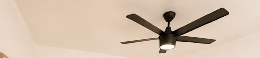 A room with a ceiling fan and a plant in a basket.