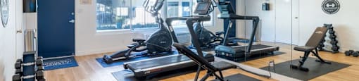 A gym with treadmills, weights, and exercise equipment.