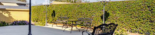 A black bench sits in the middle of a circular garden.