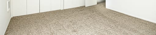 an empty room with white closets and carpeting