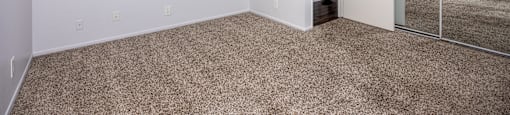 A room with a carpeted floor and a glass door.