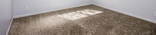 A room with a carpeted floor and a window with blinds.