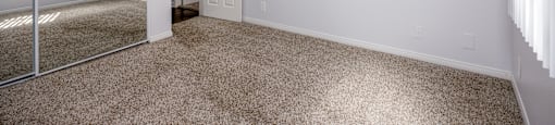 A room with a carpeted floor and a sliding glass door.