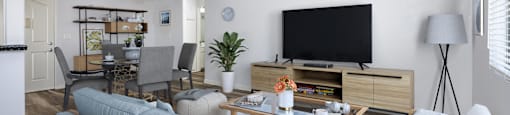 A living room with a grey couch and a television.
