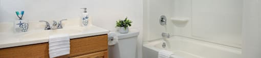 a bathroom with a sink toilet and a bath tub