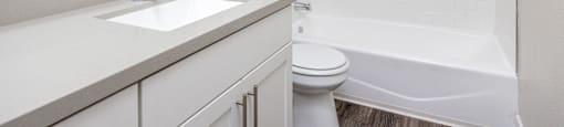 a bathroom with a sink and a toilet and a tub