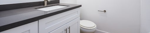 a bathroom with a sink and a toilet and a mirror
