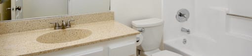 a bathroom with a sink and a toilet and a shower