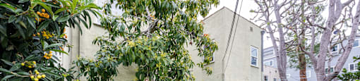 the backyard of an apartment building with a lawn and tree