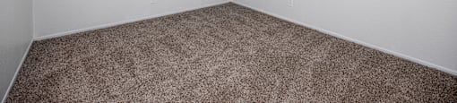 A room with a carpeted floor and a window.