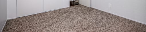 A room with carpeted floor and white walls with a door and a closet.