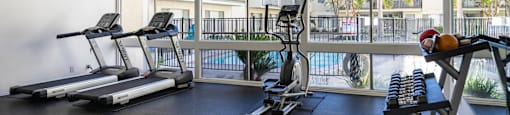 a gym with treadmills and weights in a building with large windows