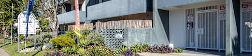 the front of a building with stairs and plants in front of it