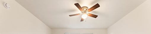 A room with a ceiling fan and a window showing trees outside.
