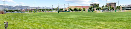 A large grassy field with a bench and floodlights.