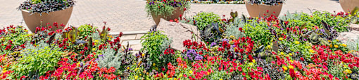 A sunny day in a town square with a gazebo and flower beds.