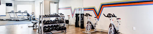 fitness center- cardio machines, free weights