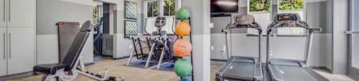 Apartments for Rent in Walnut Creek, CA - Ivy Hill - A shot of the fitness center featuring a TV, treadmills, medicine balls, and ellipticals
