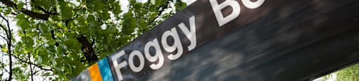 A sign that says Foggy Bottom hangs from a tree.  at The 925 Apartments, Washington, DC