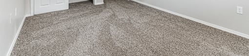 an empty living room with carpet and a closet