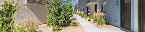 a sidewalk between two apartment buildings with trees and plants