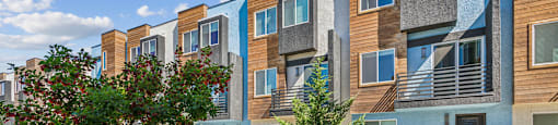 an exterior view of an apartment building with trees and a sidewalk