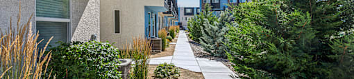 a walkway between two apartment buildings with trees and plants