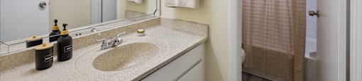 a bathroom with a sink and a mirror and a shower