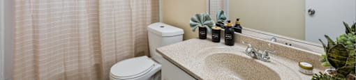 a bathroom with a shower toilet and sink and a mirror