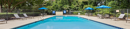 a swimming pool with chairs and umbrellas and trees
